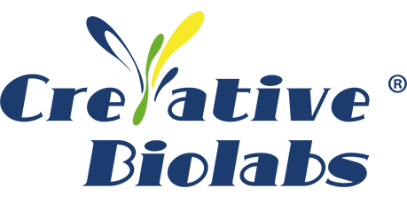 CDMO Logo