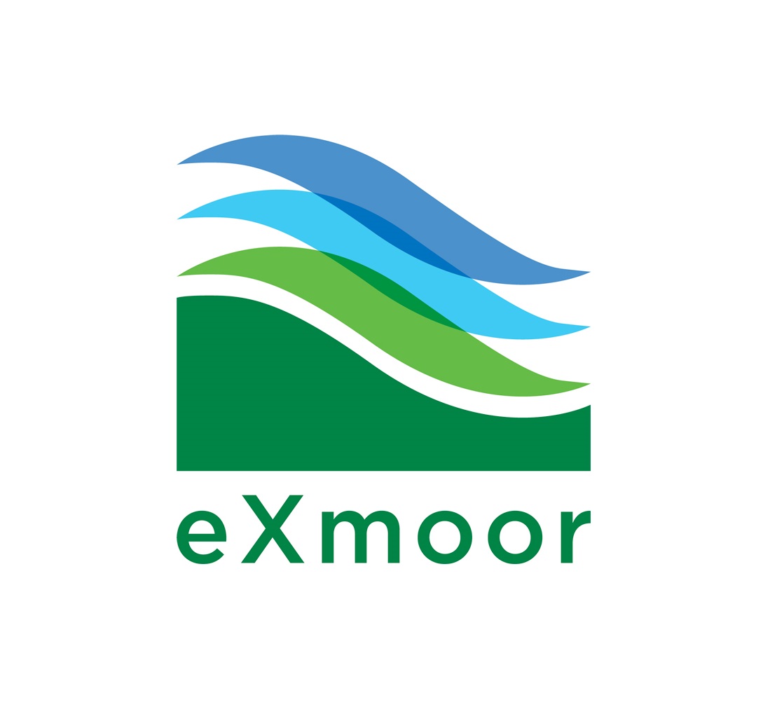 CDMO Logo